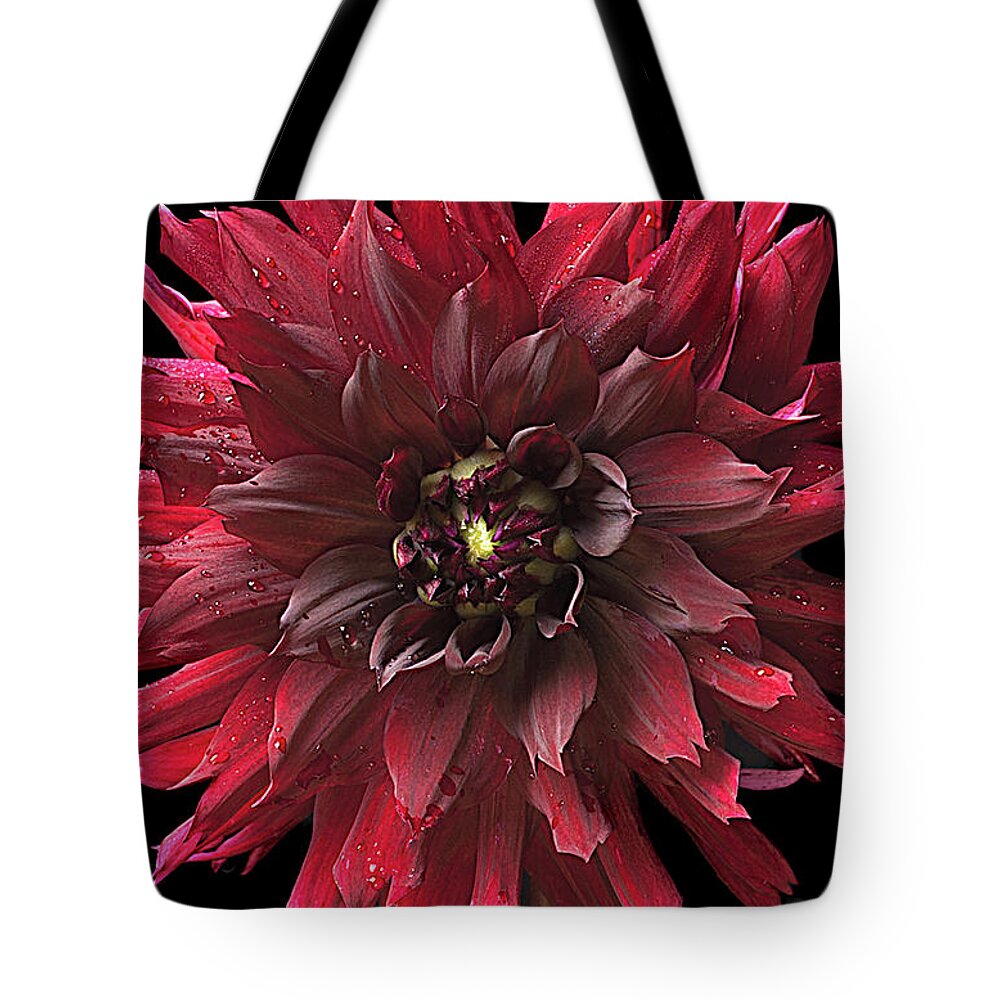 Flower Tote Bag featuring the photograph Dahlia 'Prince Noir by Ann Jacobson