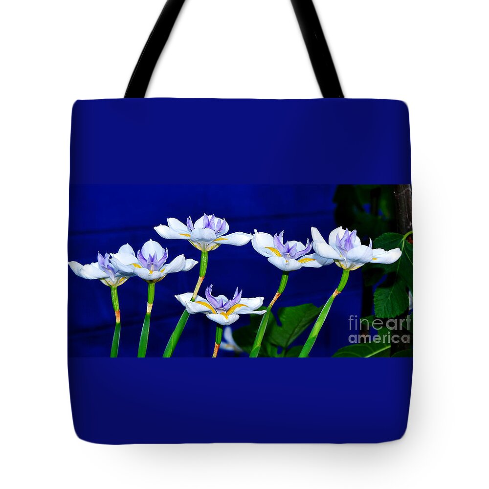 Photography Tote Bag featuring the photograph Dainty White Irises all in a Row by Kaye Menner