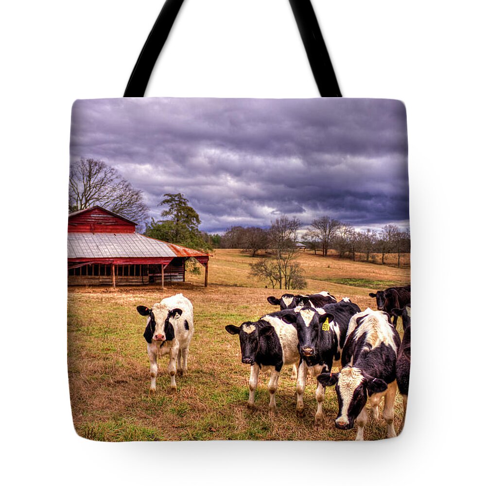 Reid Callaway Dairy Heifer Groupies Tote Bag featuring the photograph Chick-Fil-A Dairy Heifer Groupies The Red Barn Dairy Farming Art by Reid Callaway