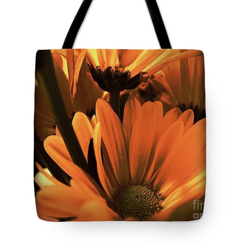 Wall Art Tote Bag featuring the photograph Daisies All Around by Kelly Holm