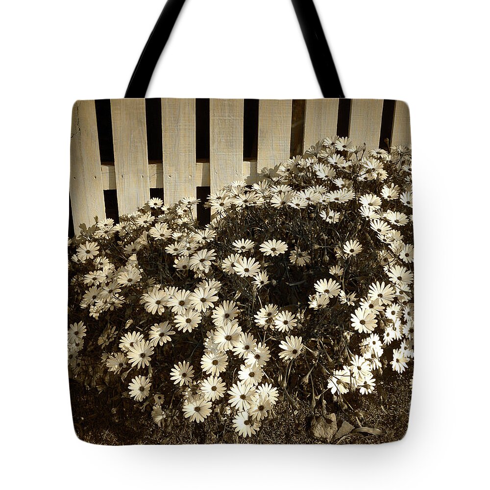 Photography Tote Bag featuring the photograph Daisies by the Fence by Kaye Menner by Kaye Menner