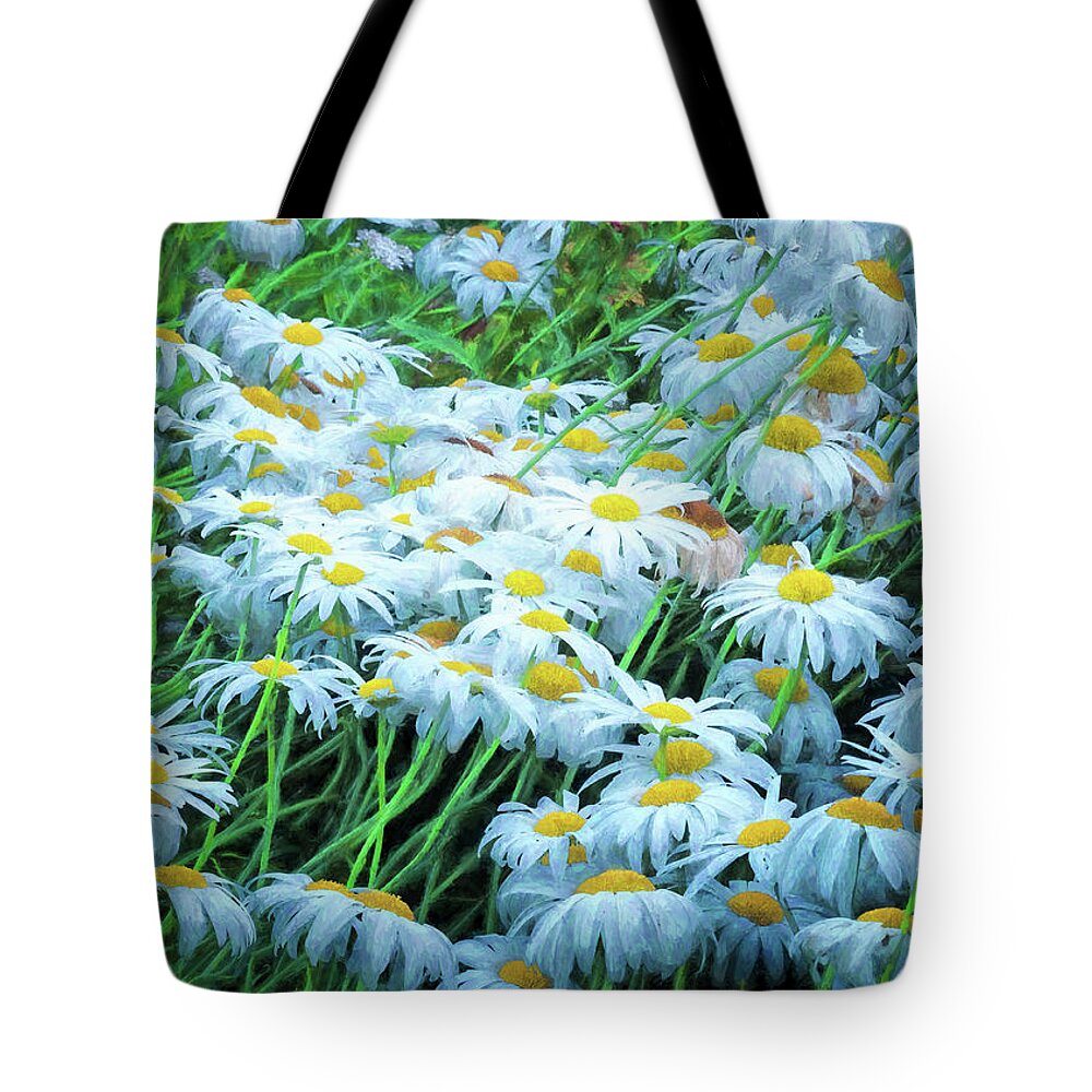 Hayward Garden Putney Vermont Tote Bag featuring the photograph Daisies Galore by Tom Singleton