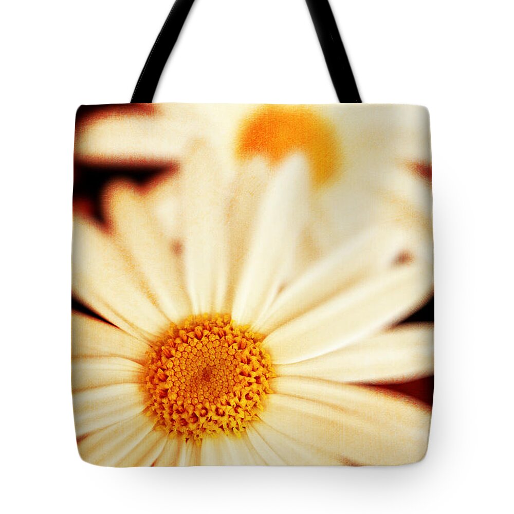 Close Up Tote Bag featuring the photograph Daisies by Silvia Ganora
