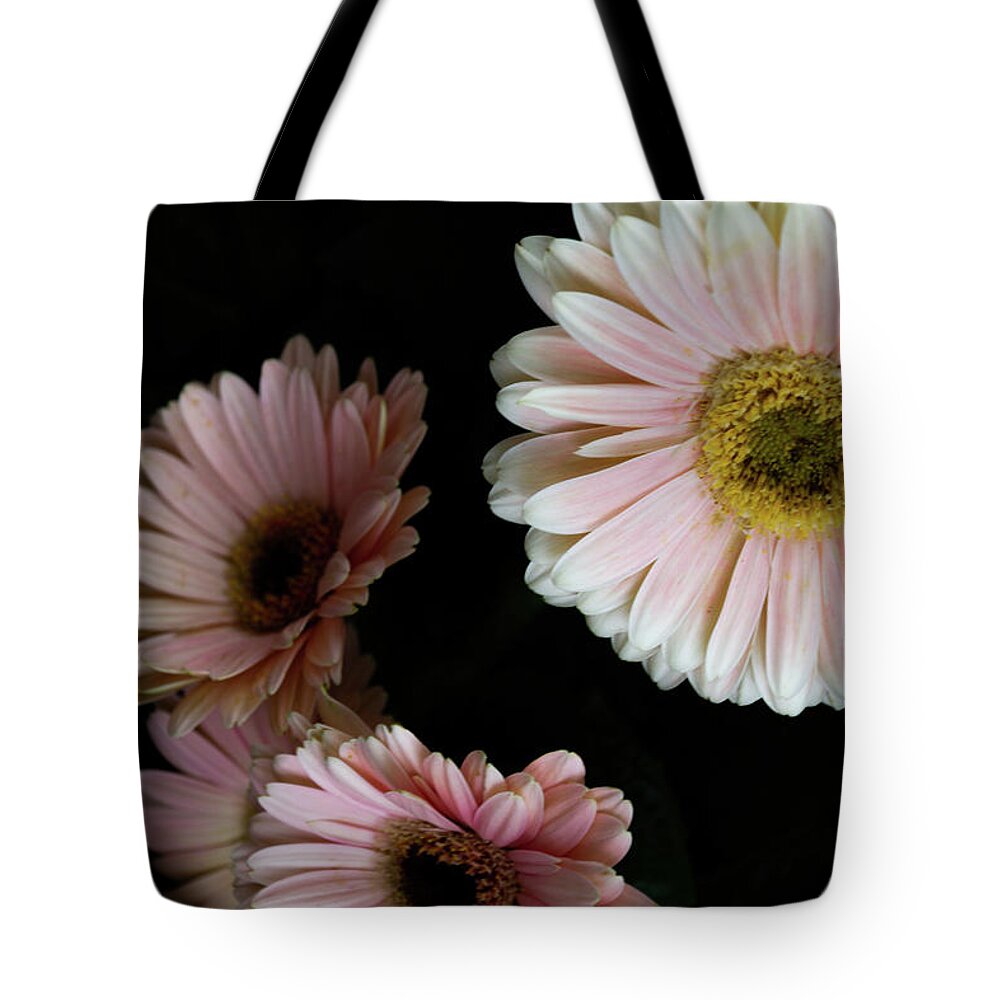 Daisy Tote Bag featuring the photograph Daisy Cluster by William Norton
