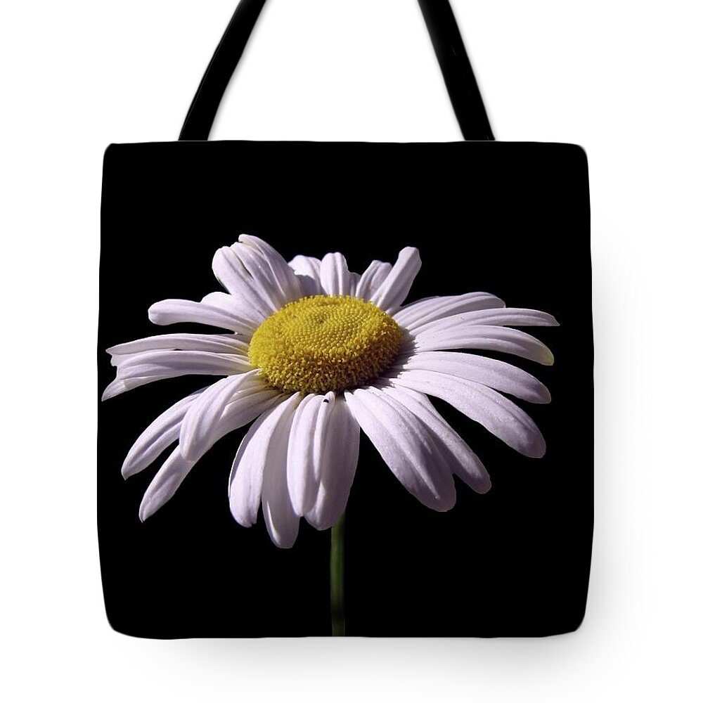 Daisy Tote Bag featuring the photograph Daisy by David Dehner