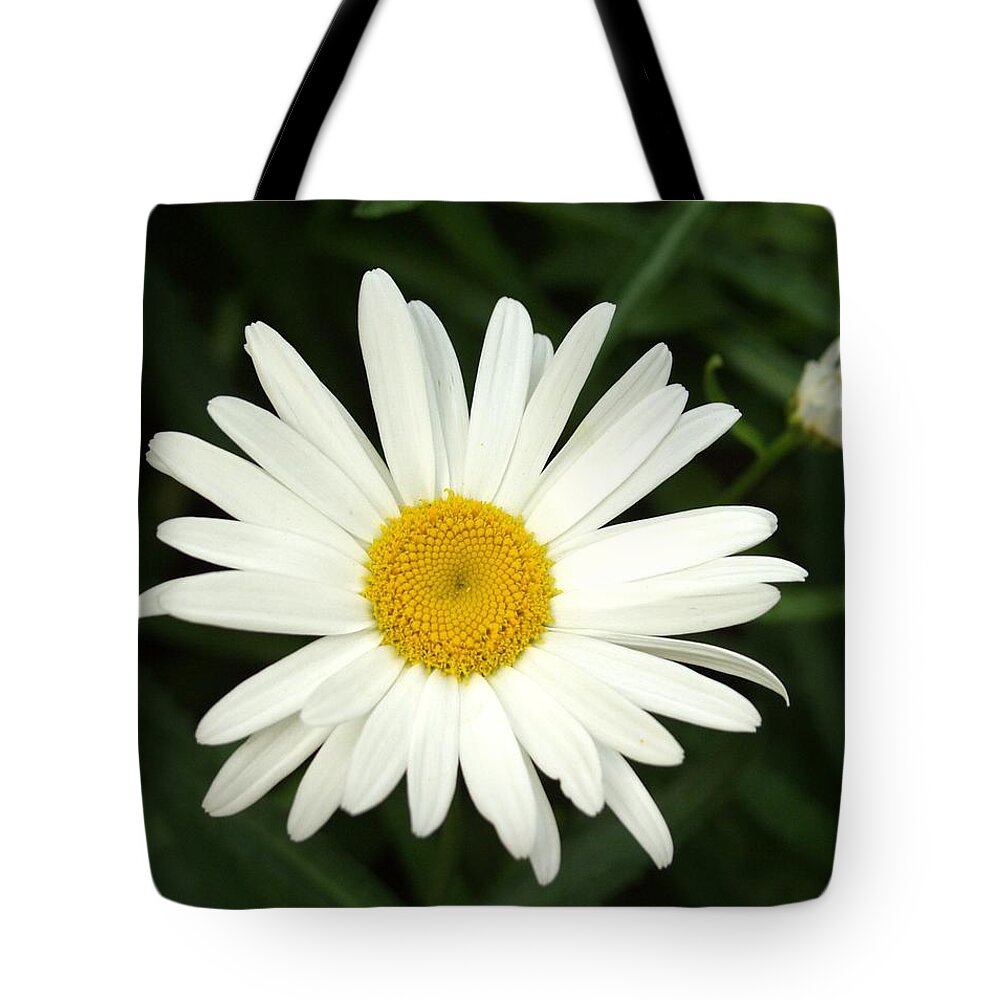Daisy Tote Bag featuring the photograph Daisy Days by Carol Sweetwood