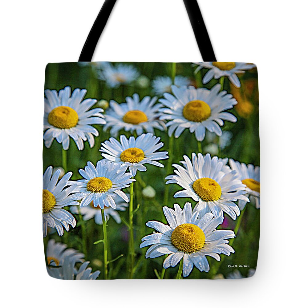 Daisy Tote Bag featuring the photograph Daisy Dew by Dale R Carlson
