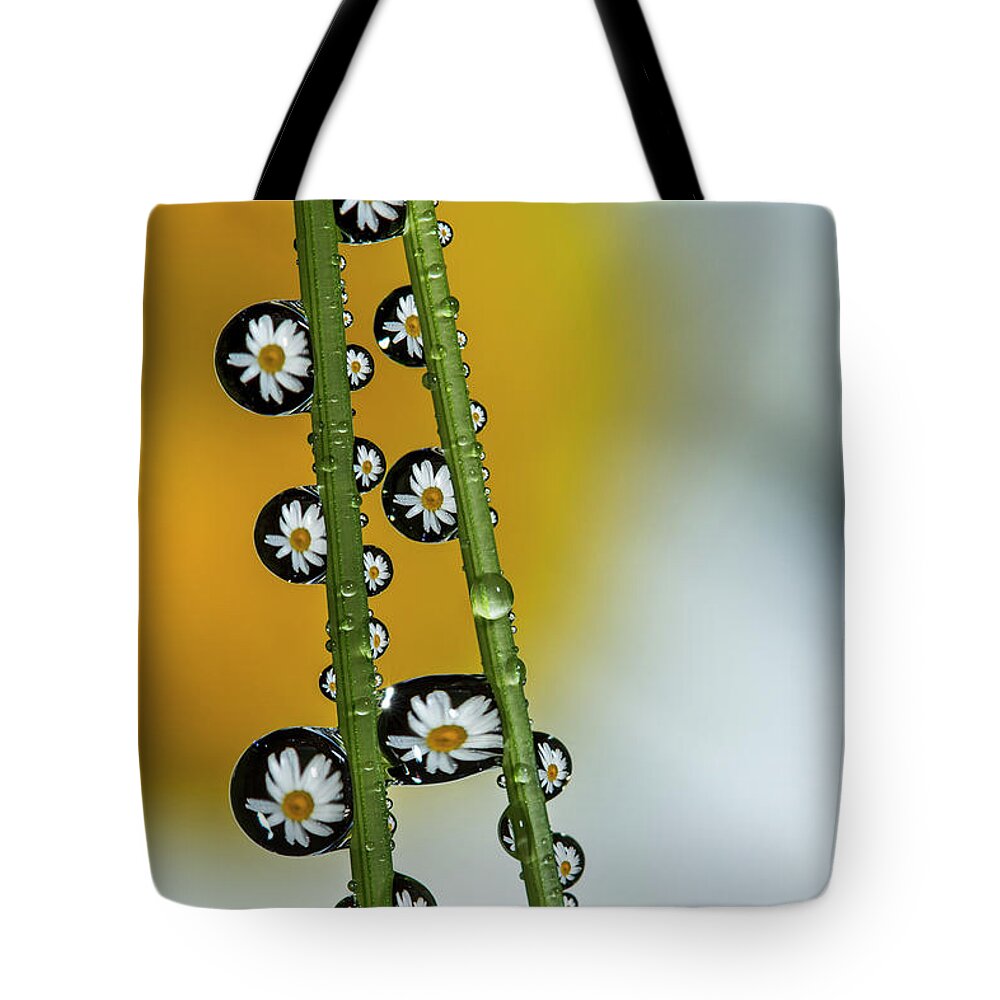 Flower Tote Bag featuring the photograph Daisy Dew by Peg Runyan