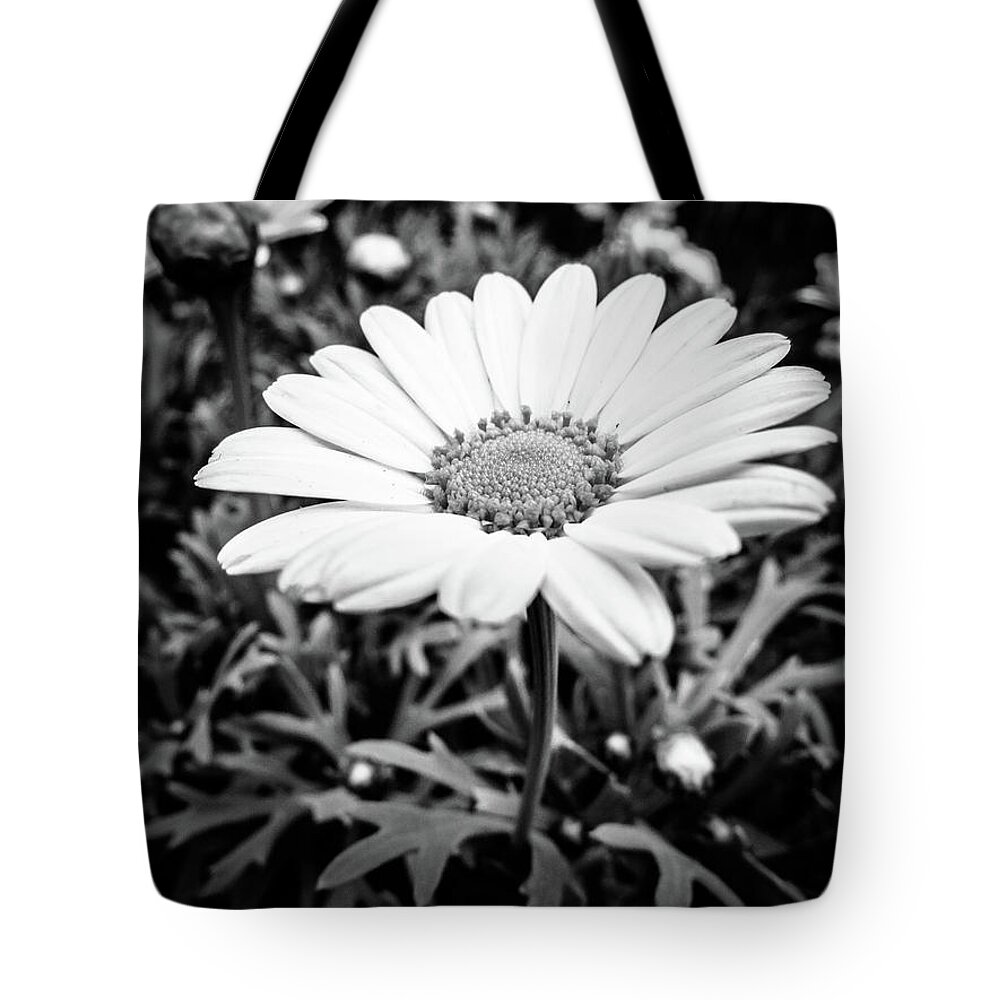 Daisy Flower Tote Bag featuring the photograph Daisy Flower Black and White by Cesar Vieira