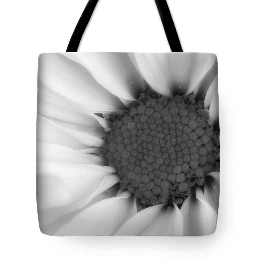 Flower Tote Bag featuring the photograph Daisy Flower Macro by Tom Mc Nemar