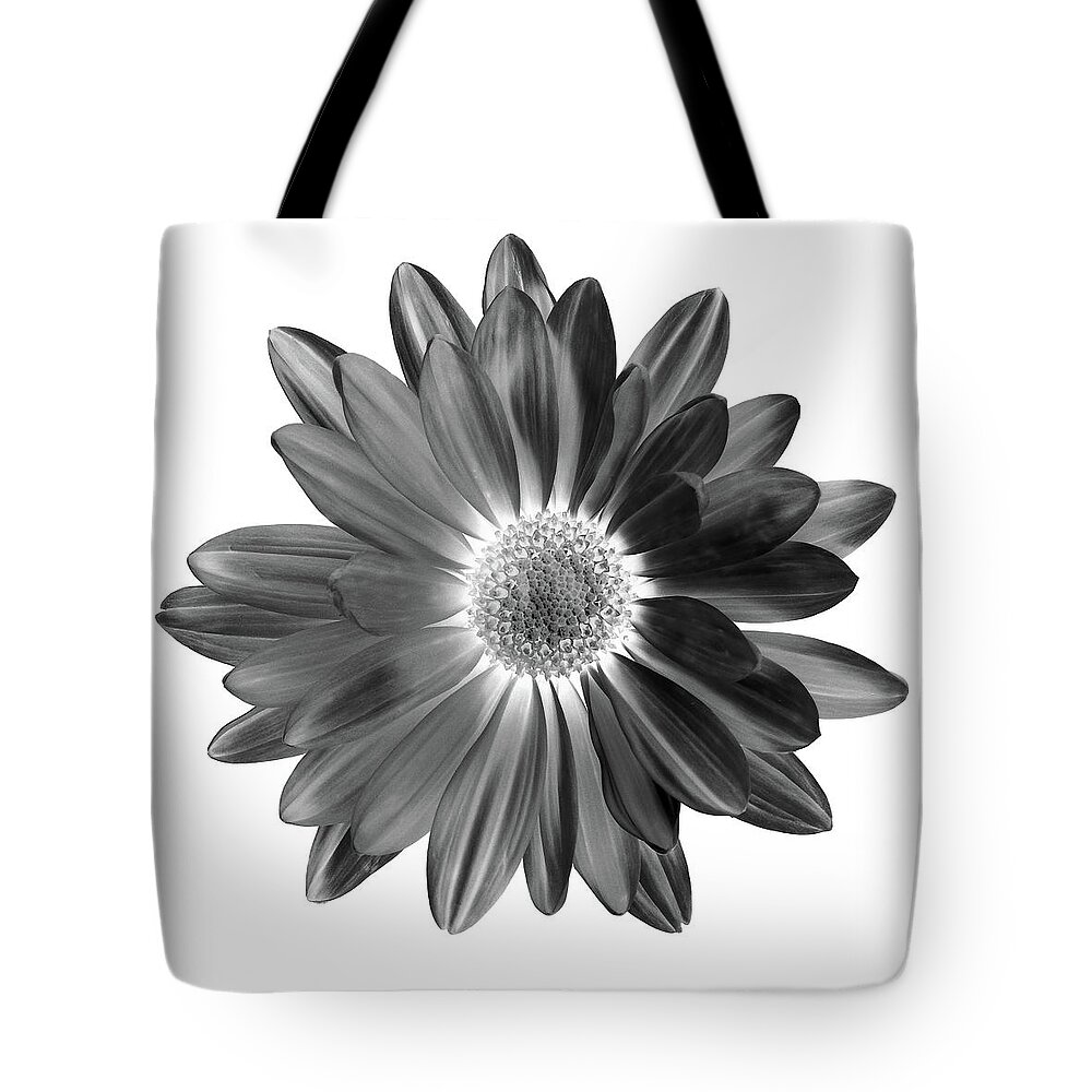 Flowers Tote Bag featuring the photograph Daisy III Black and White by Lily Malor