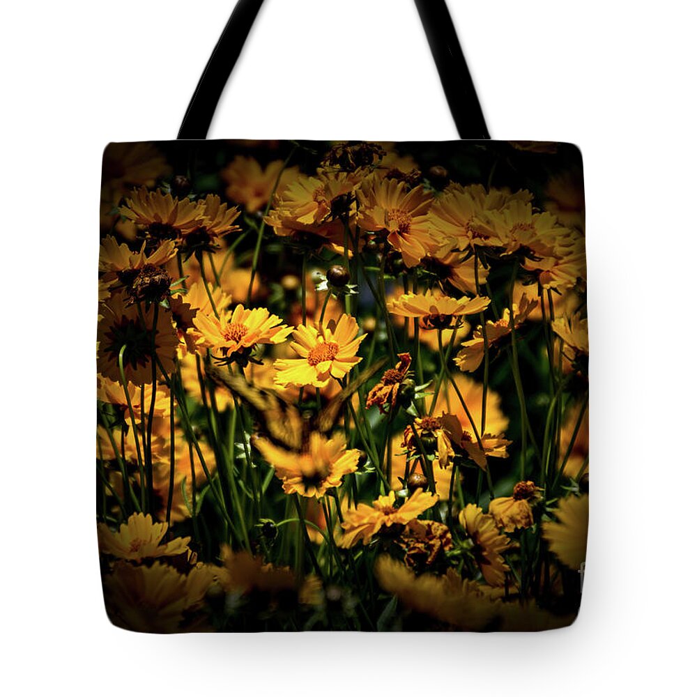 Daisy Tote Bag featuring the photograph Daisy in Bloom by William Norton