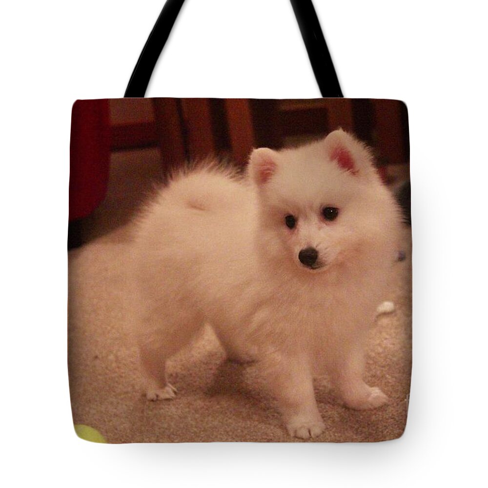 Dog Tote Bag featuring the photograph Daisy - Japanese Spitz by David Grant