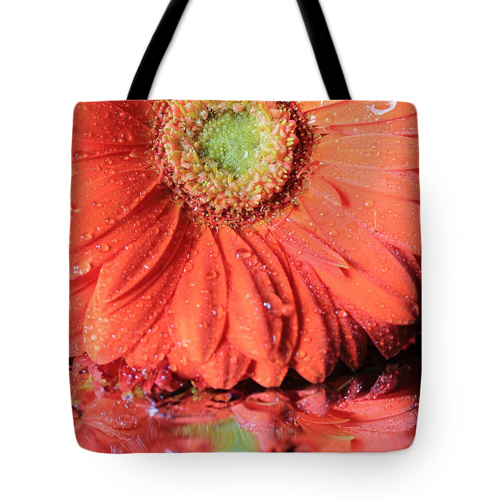 Gerbera Daisy Tote Bag featuring the photograph Daisy Petals and Reflections by Angela Murdock