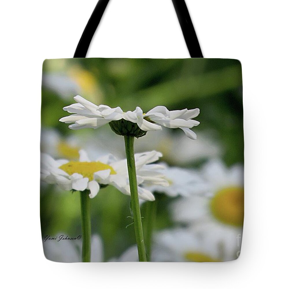 Daisy Tote Bag featuring the photograph Daisy petals by Yumi Johnson