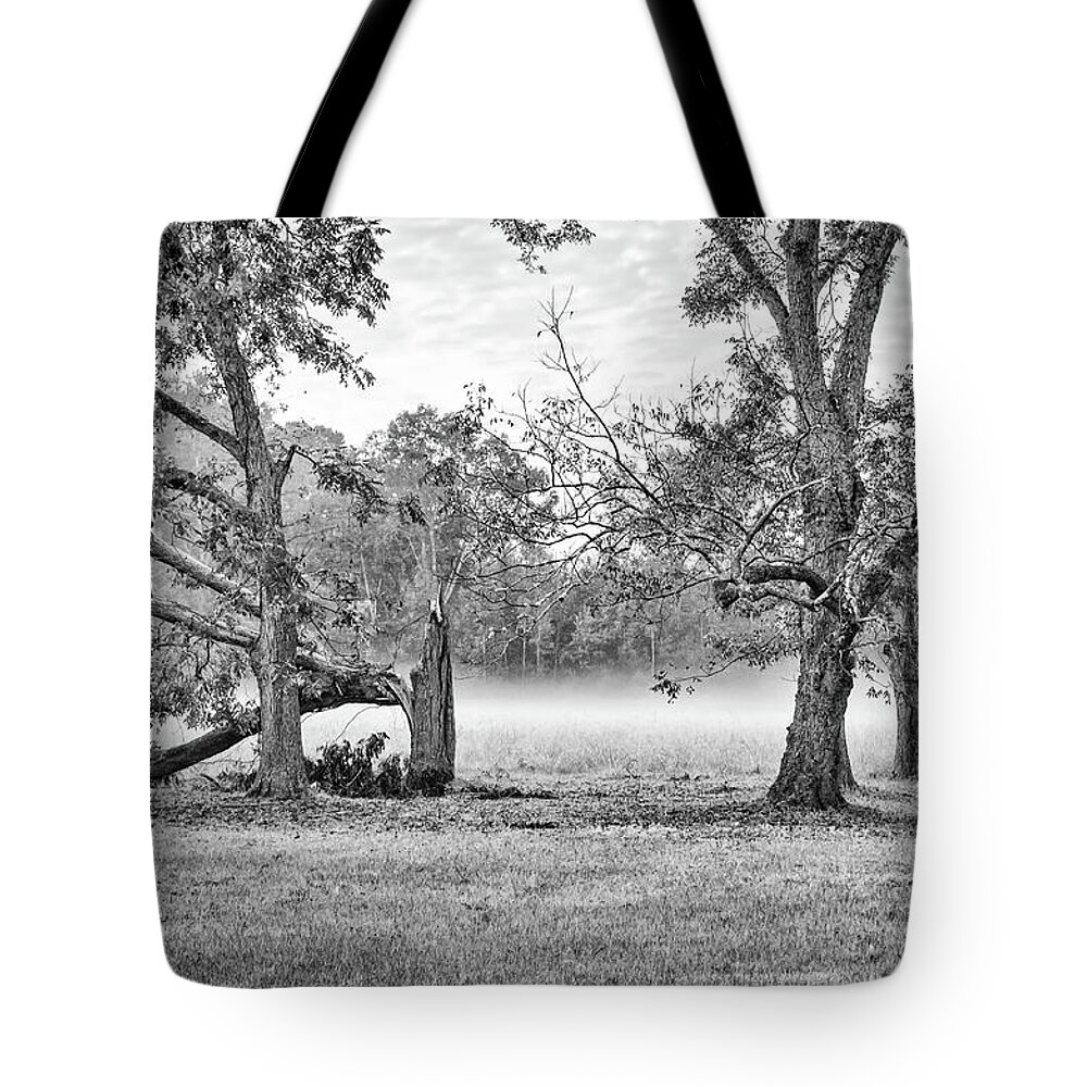 Fog Tote Bag featuring the photograph Dale - Foggy Morning by Scott Hansen