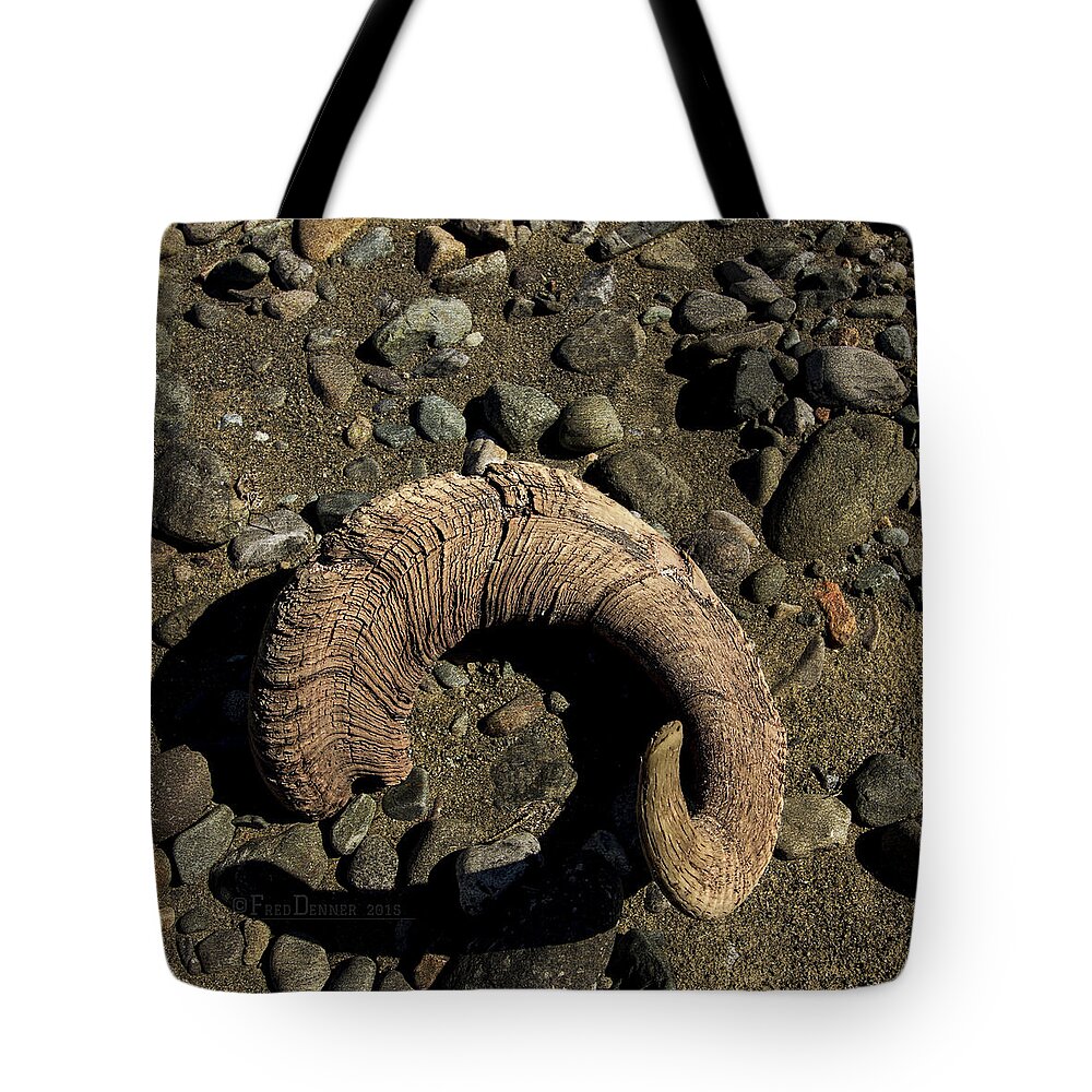 Horn Tote Bag featuring the photograph Dall Sheep Horn by Fred Denner