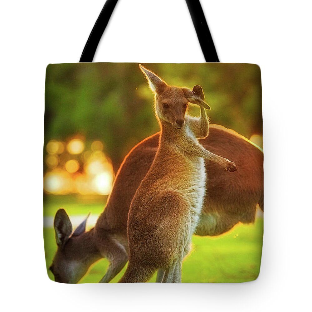Mad About Wa Tote Bag featuring the photograph Damn Flies, Yanchep National Park by Dave Catley
