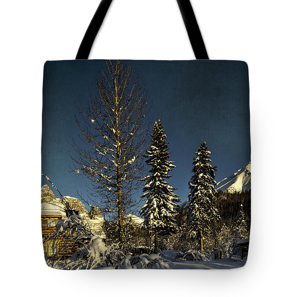 Cabin Tote Bag featuring the photograph Dan Creek Cabin Feb. 2014 by Fred Denner