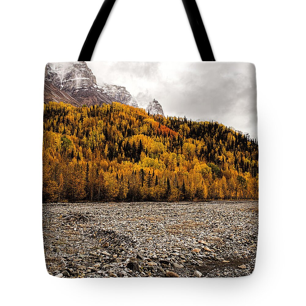 Autumn Colors Tote Bag featuring the photograph Dan Creek Color by Fred Denner