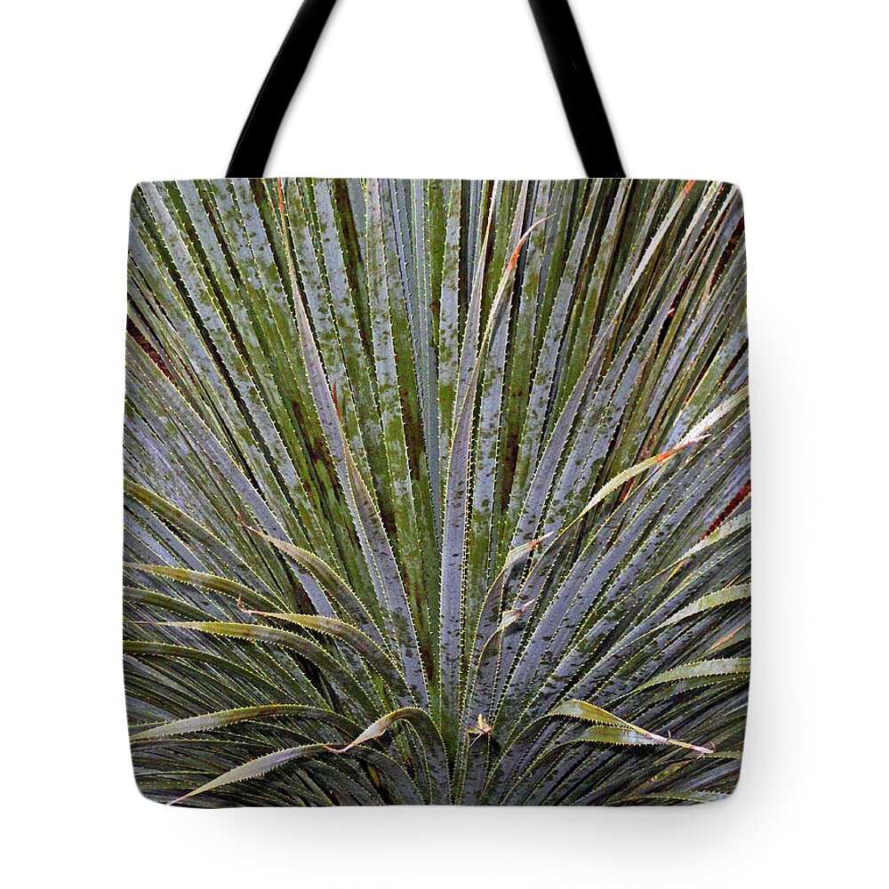 Dana Point Tote Bag featuring the photograph Dana Point Swords by Robert Meyers-Lussier