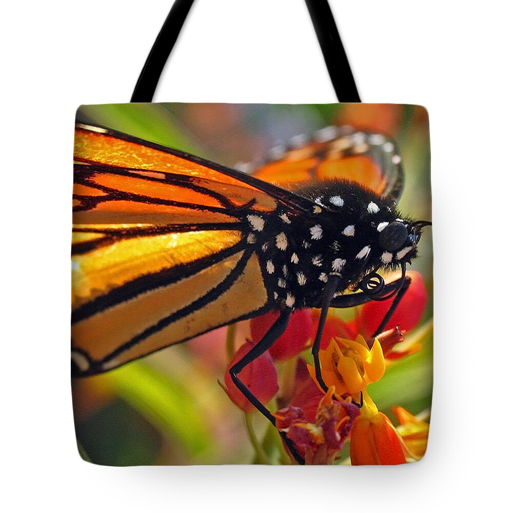 Insects Tote Bag featuring the photograph Danaus Plexippus by Juergen Roth