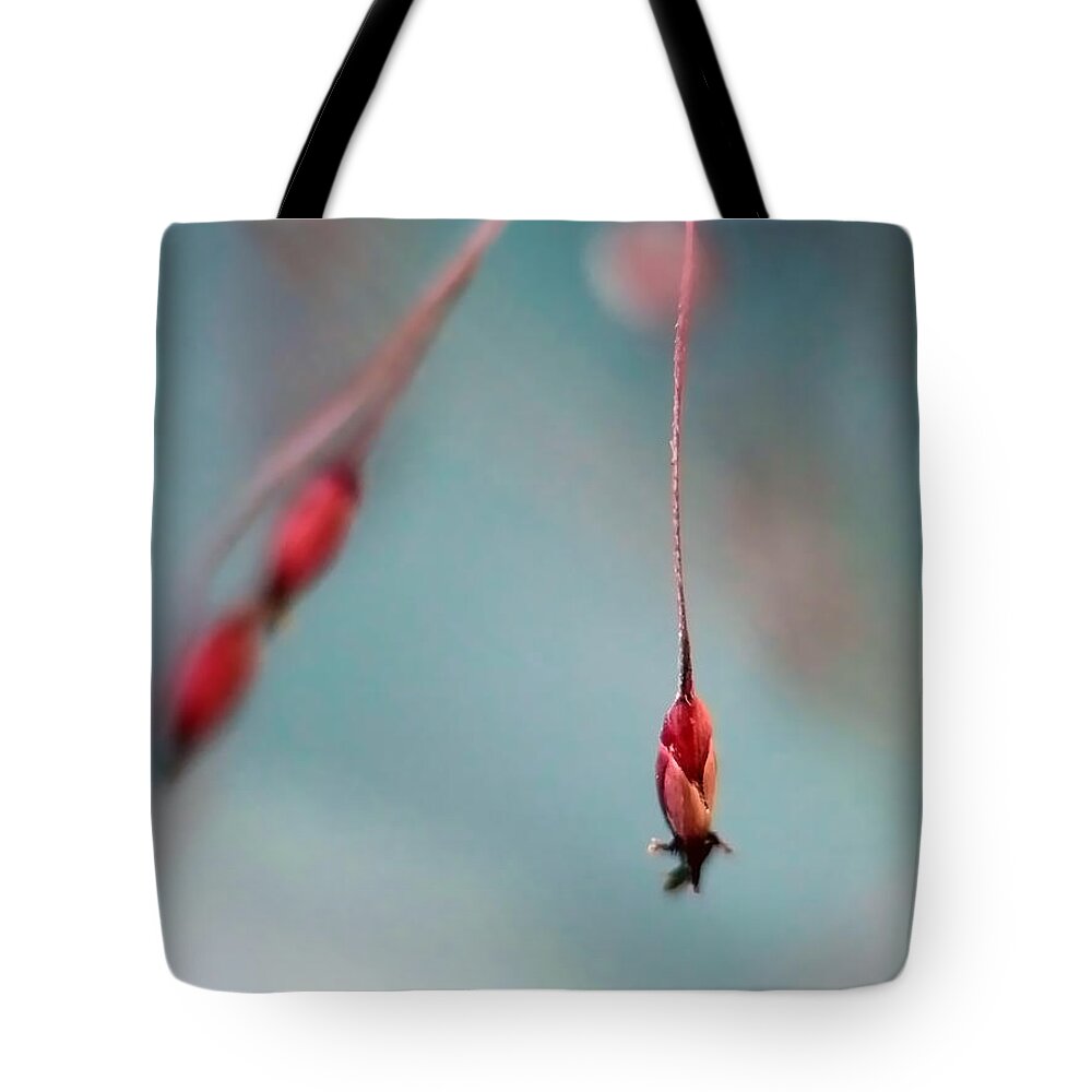 Abstract Tote Bag featuring the photograph Dance by Lauren Radke