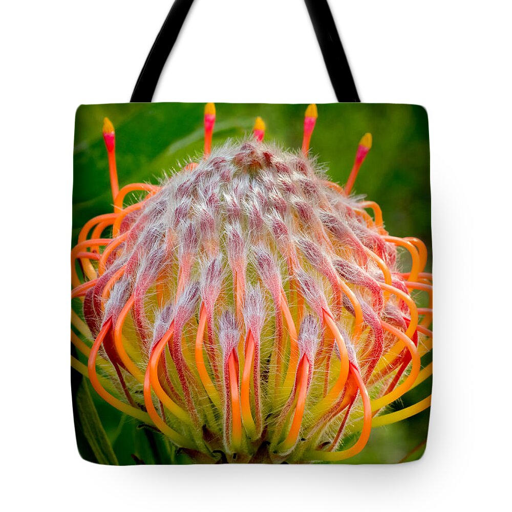 Flower Tote Bag featuring the photograph Dance of the Hydra by Derek Dean
