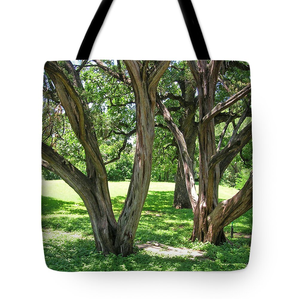 Trees Tote Bag featuring the photograph Dancers in the Wind by Carolyn Donnell