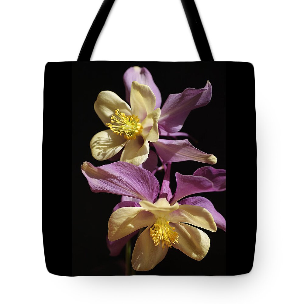 Purple Tote Bag featuring the photograph Dancing Columbine by Tammy Pool