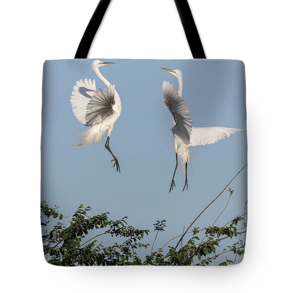 Great Egrets Tote Bag featuring the photograph Dancing Egrets 2017-1 by Thomas Young