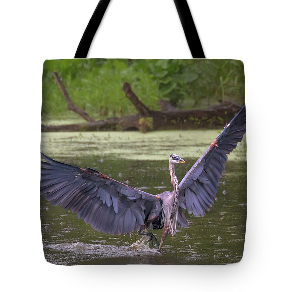 Great Blue Heron Tote Bag featuring the photograph Dancing in the Rain by Susan Rissi Tregoning