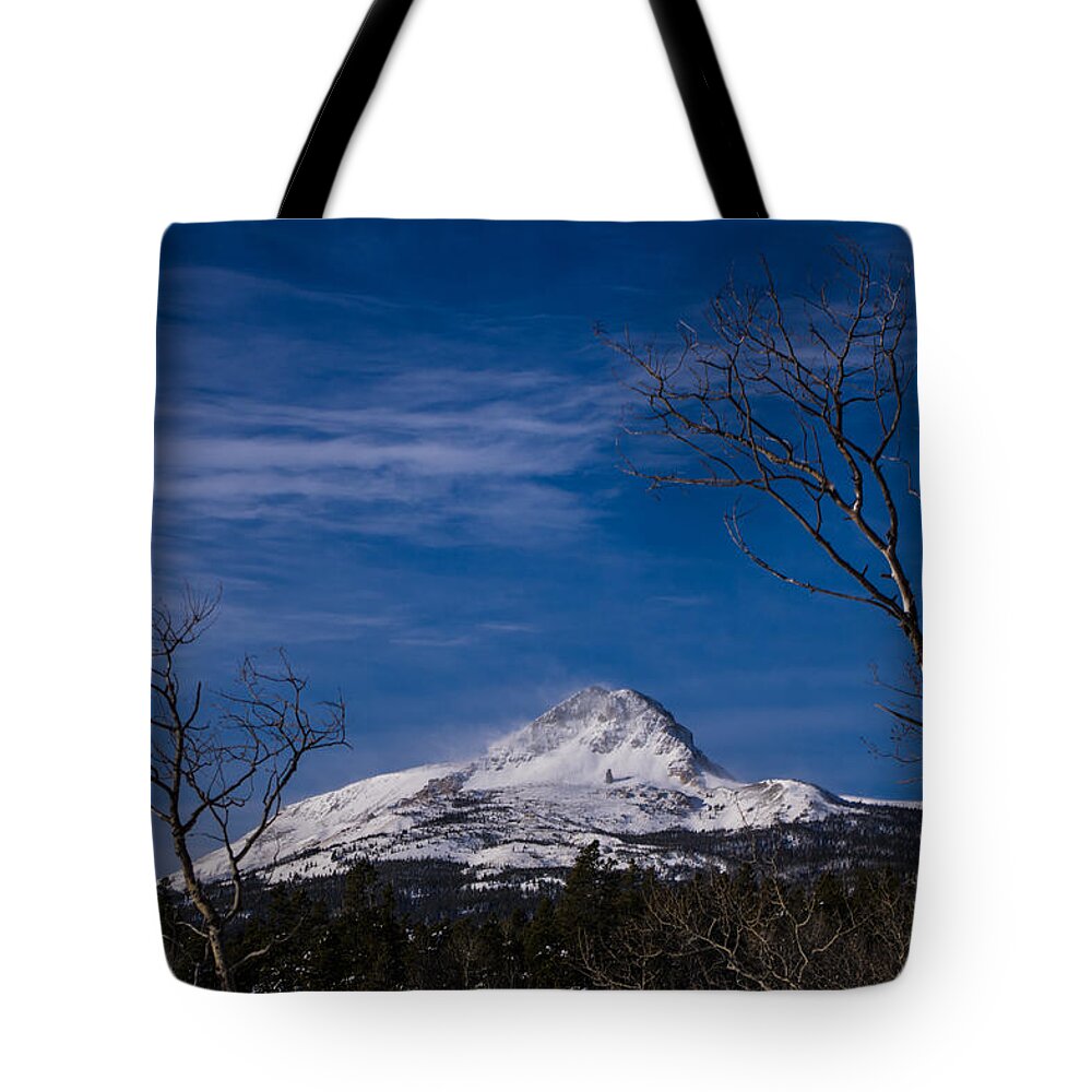 Glacier National Park Tote Bag featuring the photograph Dancing Lady 2 by Jedediah Hohf