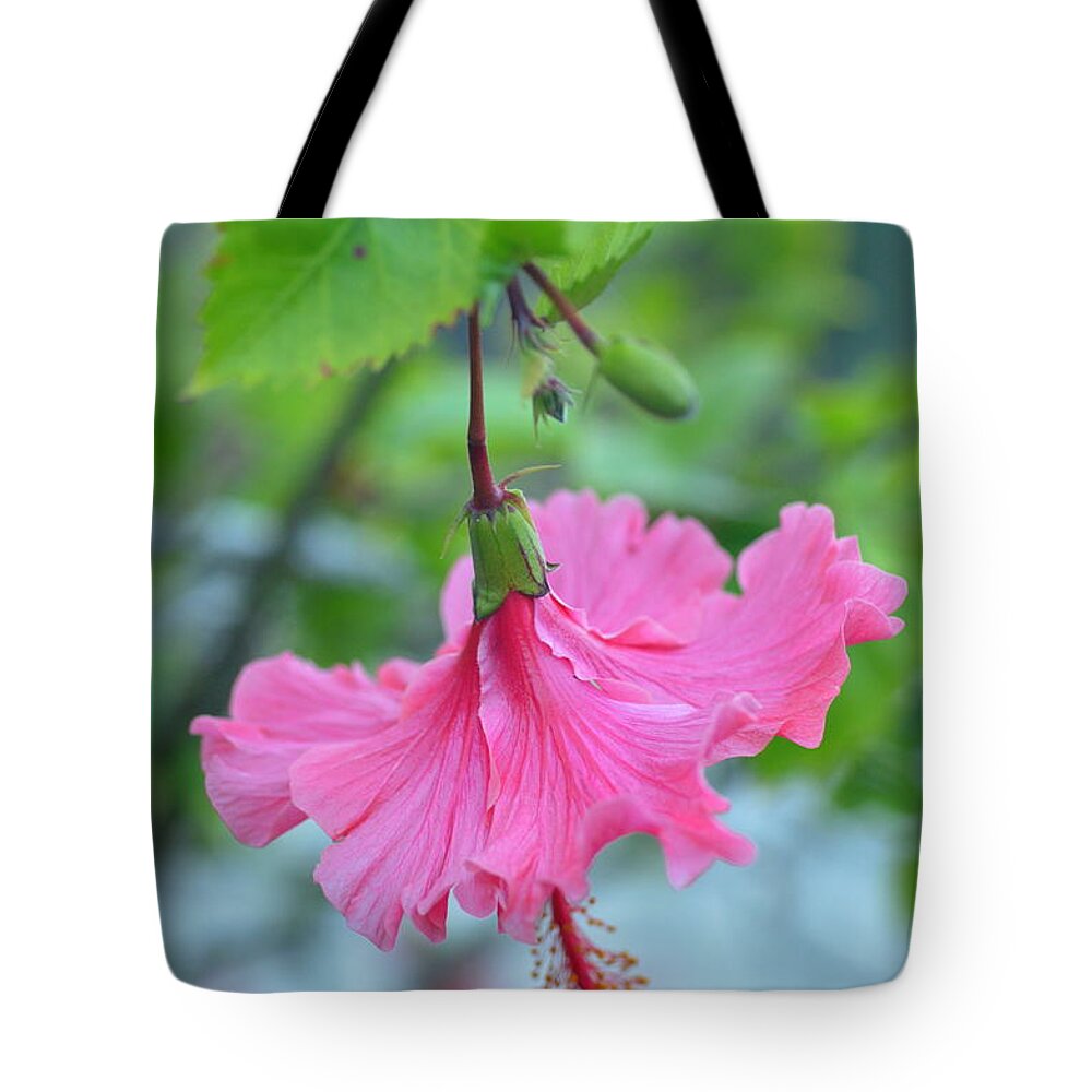 Flower Tote Bag featuring the photograph Dancing Lady Pink Hibiscus by Amy Fose