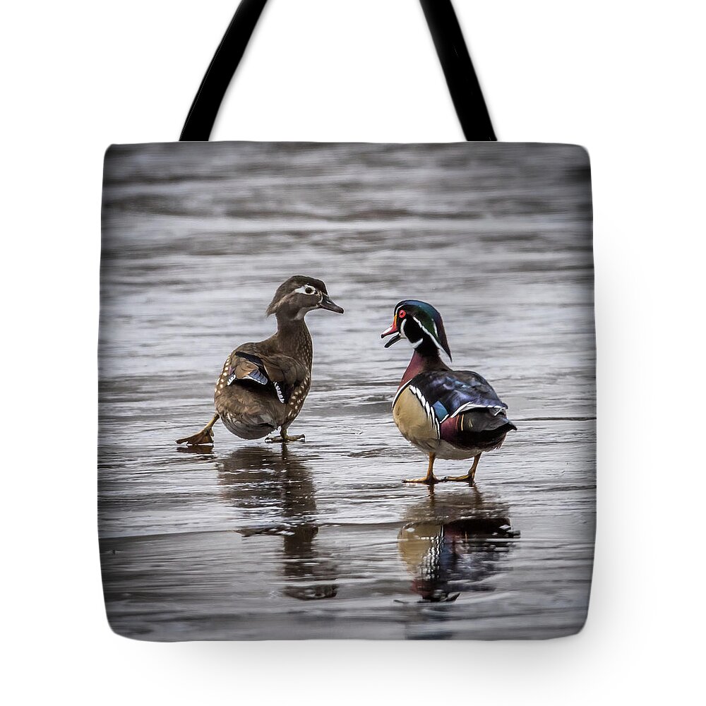 Duck Tote Bag featuring the photograph Dancing Wood Ducks by Paul Freidlund
