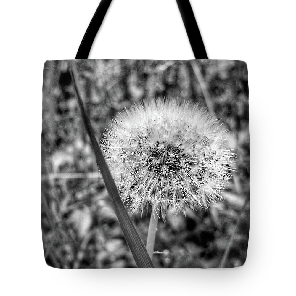 Weed Tote Bag featuring the photograph Dandelion by Al Harden