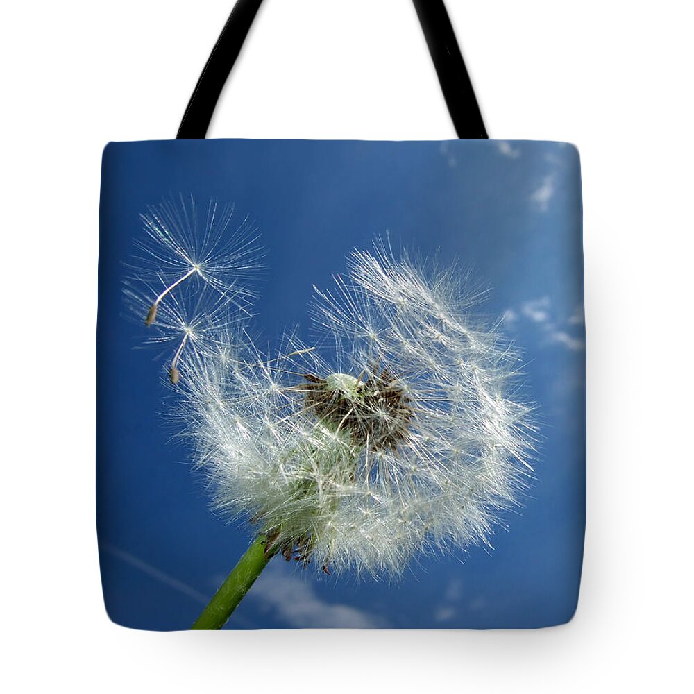 Dandelion Tote Bag featuring the photograph Dandelion and blue sky by Matthias Hauser