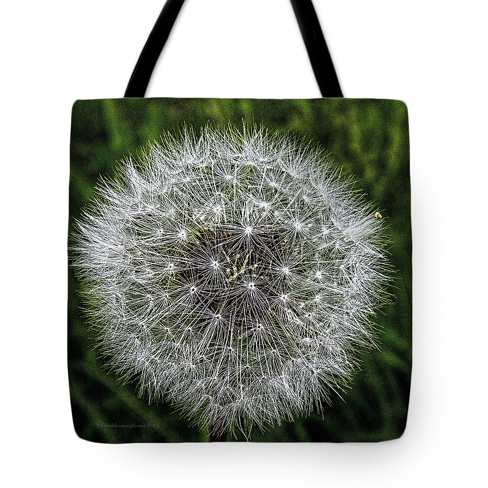 Wildflower Tote Bag featuring the photograph Dandelion Fluff by Fred Denner