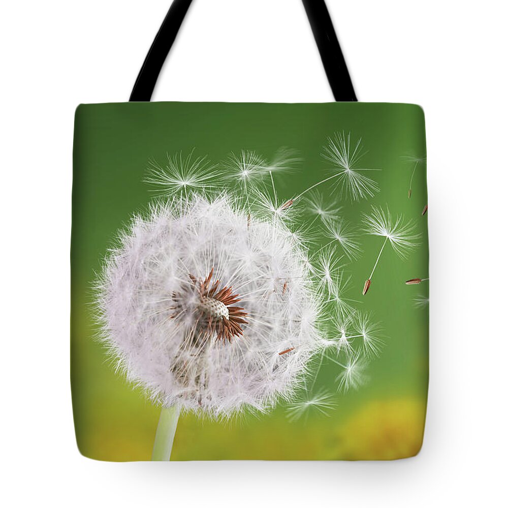 Agriculture Tote Bag featuring the photograph Dandelion flying by Bess Hamiti