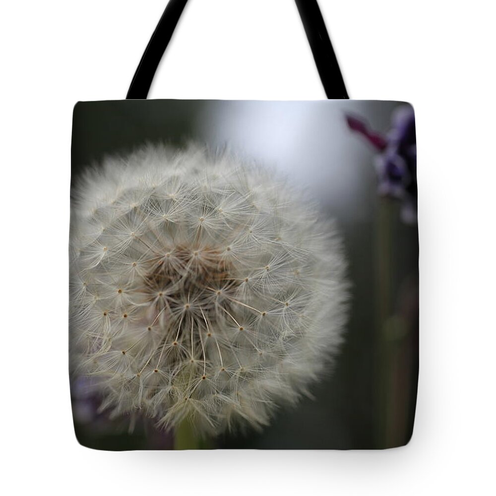 Dandelion Tote Bag featuring the photograph Dandelion Glow by Tammy Pool