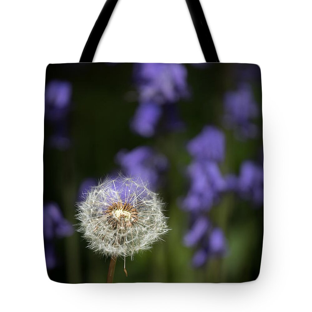 Bluebell Tote Bag featuring the photograph Dandelion in Bluebells by Nigel R Bell