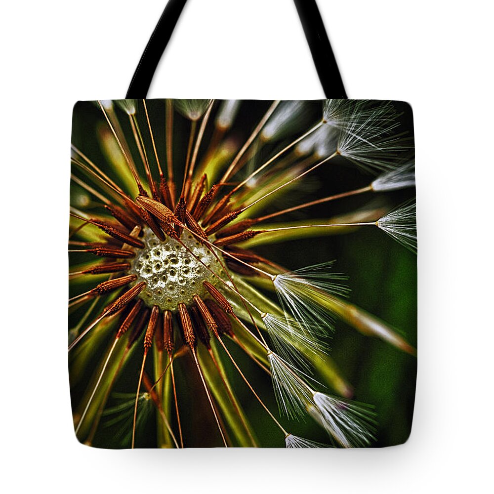 Flowers Tote Bag featuring the photograph Dandelion Puff by Dick Pratt