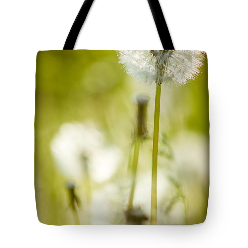 Dandilion Tote Bag featuring the photograph Dandelion Whimsy by Chris Bordeleau
