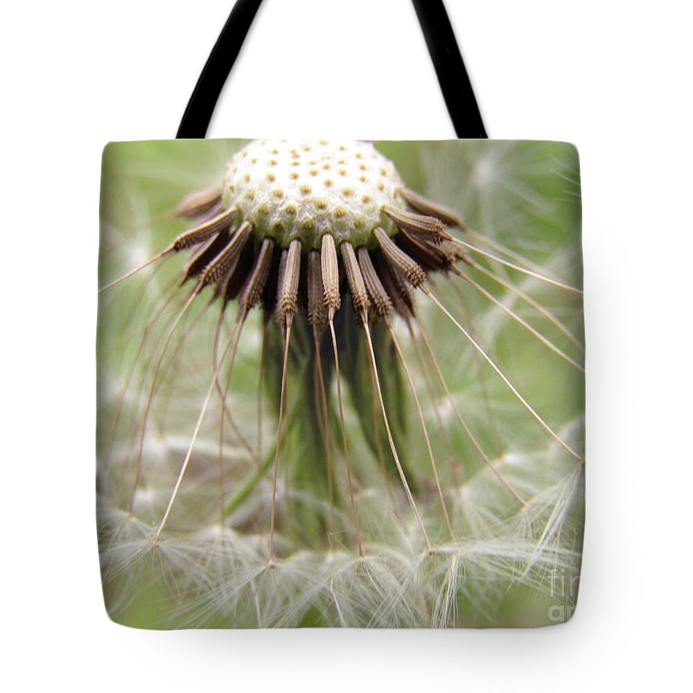 Dandelion Tote Bag featuring the photograph Dandelion Wish 8 by Kim Tran