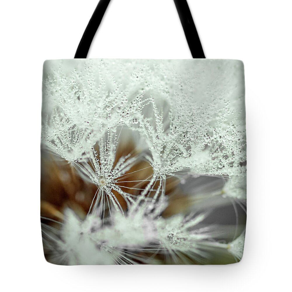 Background Tote Bag featuring the photograph Dandelion with droplets II by Paulo Goncalves