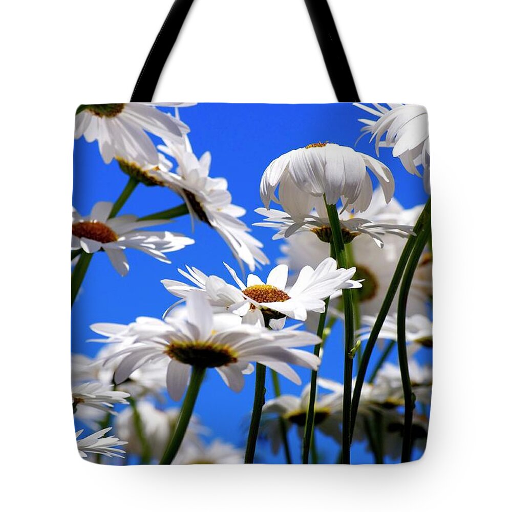Nature Tote Bag featuring the photograph Dandy Daisies by Emerita Wheeling
