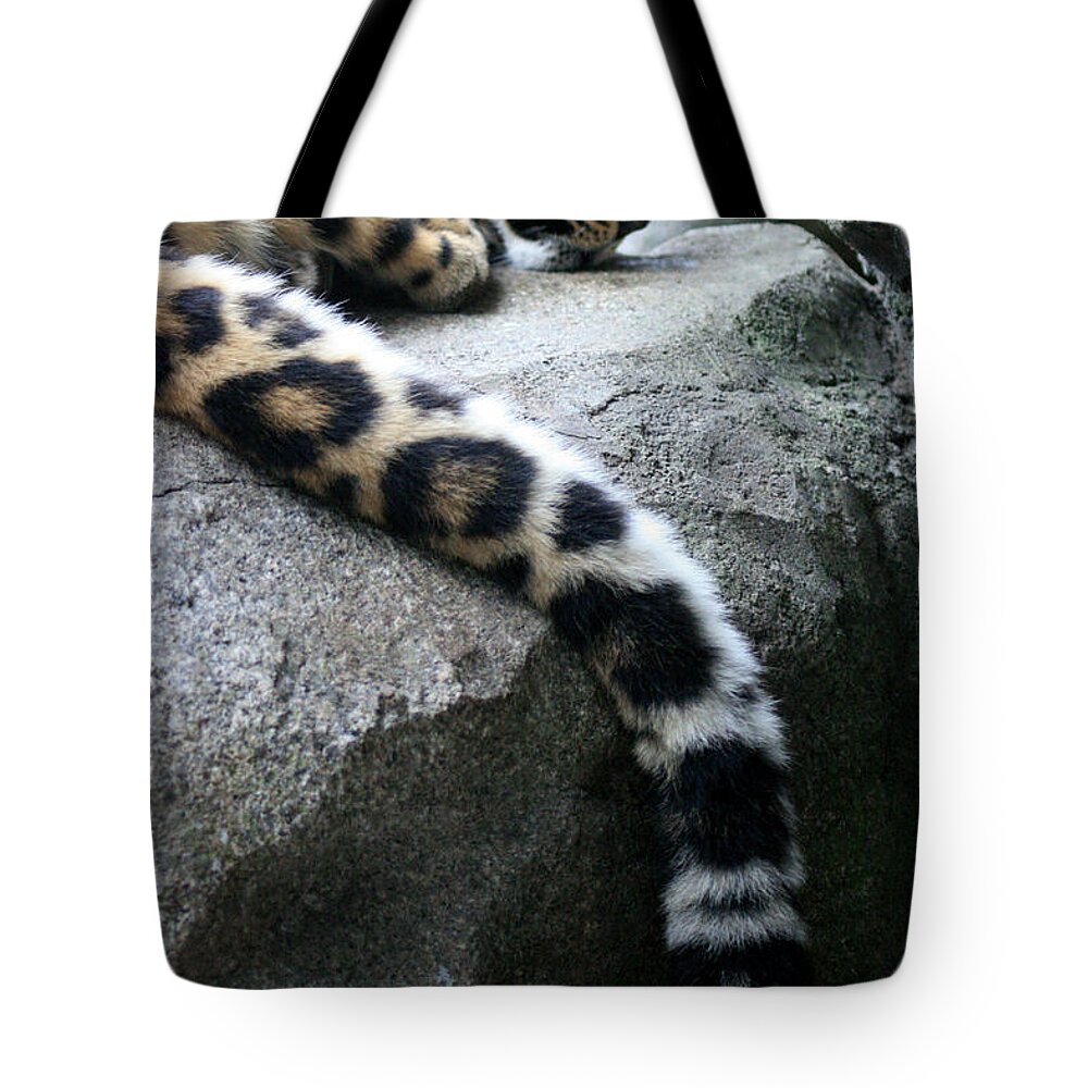 Mammal Tote Bag featuring the photograph Dangling and Dozing by Mary Mikawoz