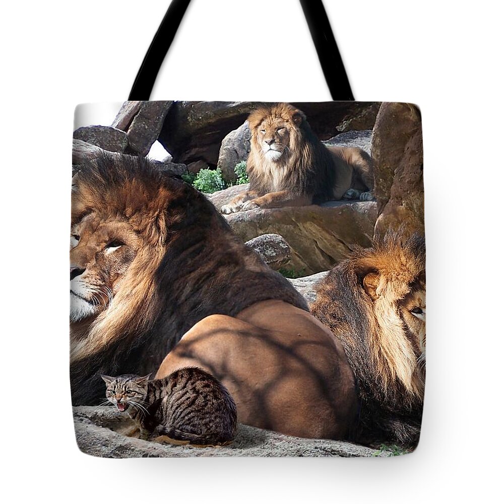 Lions Tote Bag featuring the mixed media Daniel in the Lion by Bill Stephens