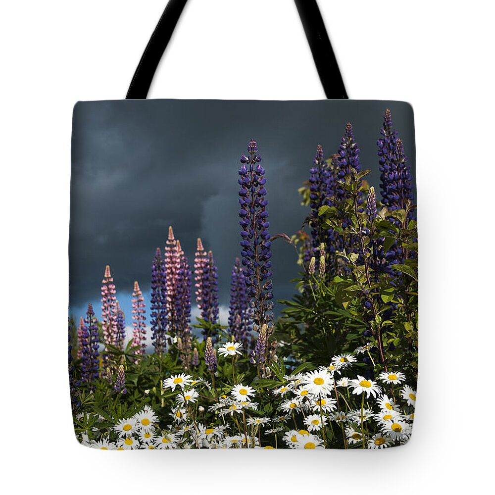 Flowers Tote Bag featuring the photograph Dark Clouds by Robert Potts
