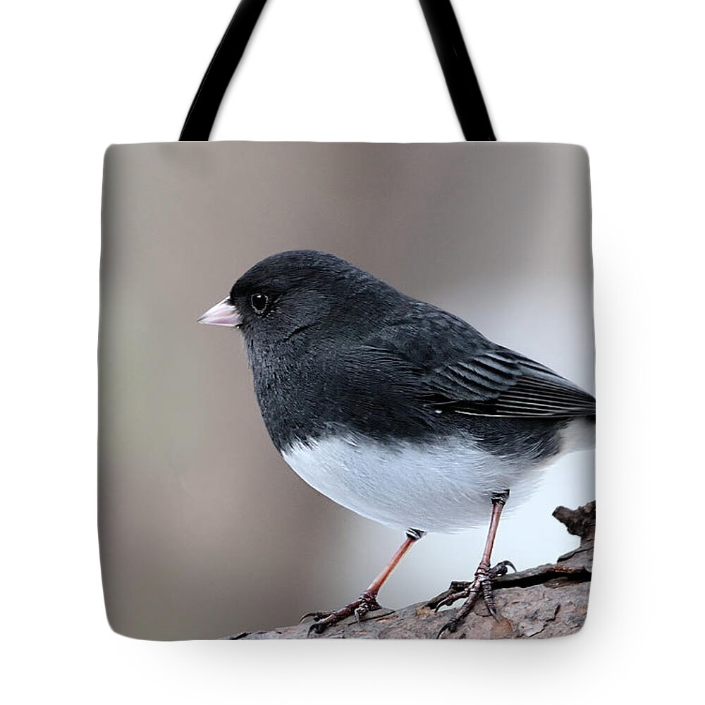 Dark-eyed Junco Tote Bag featuring the photograph Dark-eyed Junco by Diane Giurco